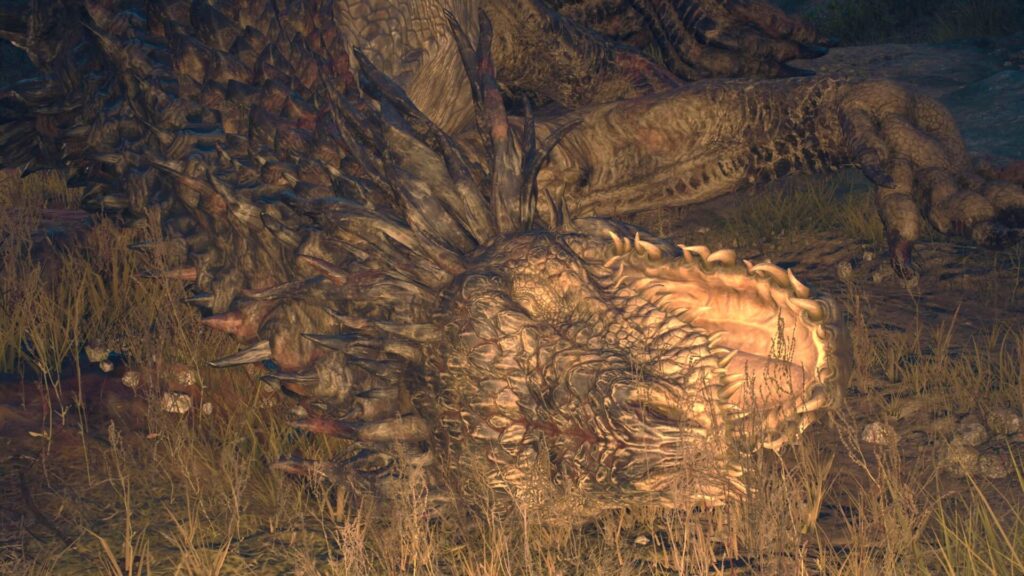 ドラゴンズドグマ2の魔物ドレイクの亡骸