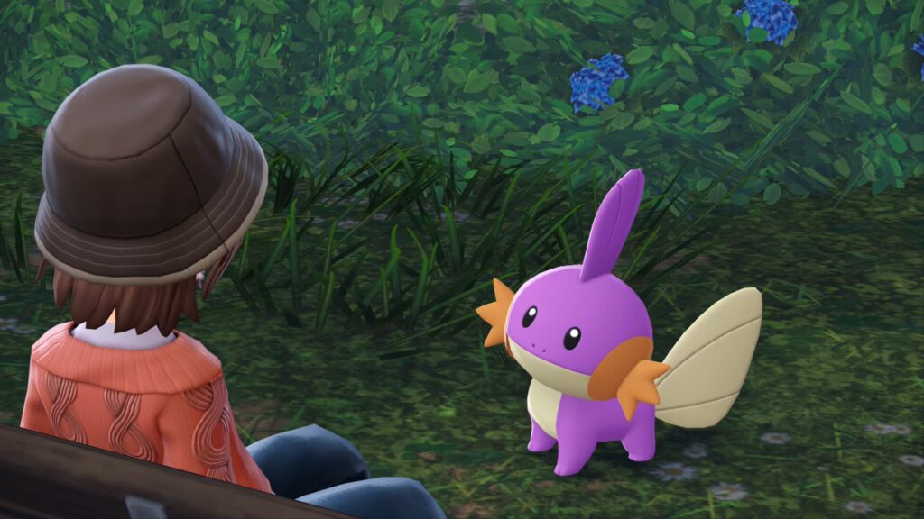 ポケモンレジェンズZAにあるベール6番地に来た色違いミズゴロウと主人公