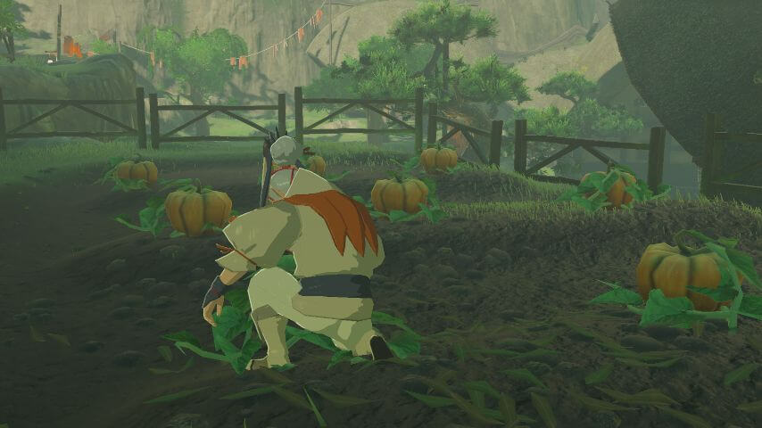 ゼルダの伝説ブレスオブザワイルドにあるカカリコ村でヨロイカボチャを育てるナーキン