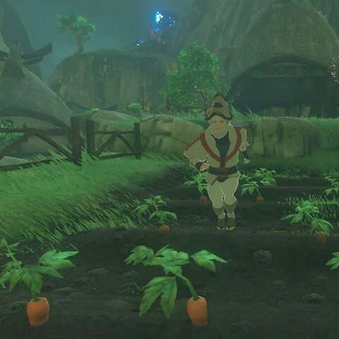 ゼルダの伝説ブレスオブザワイルドにあるカカリコ村の人参畑の上を走るナーキン