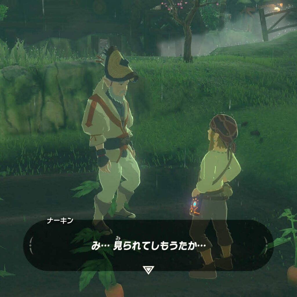 ゼルダの伝説ブレスオブザワイルドにあるカカリコ村の、人参畑の上を走るのを見られたナーキン