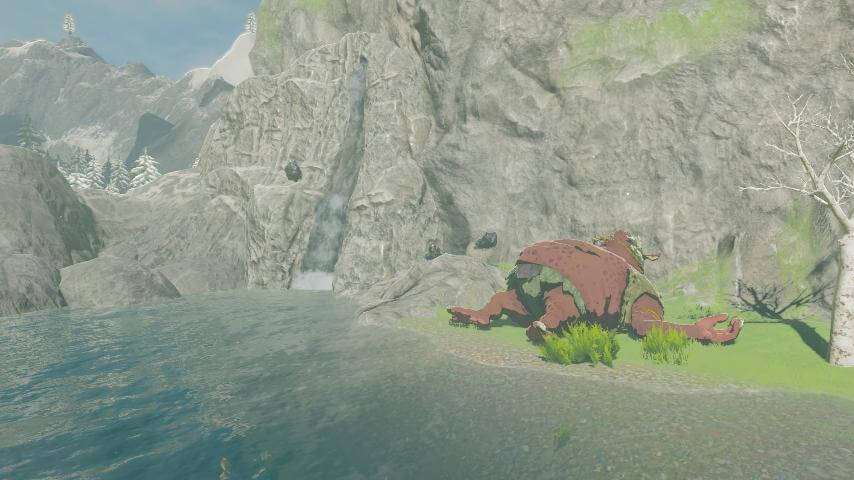 ゼルダの伝説ブレスオブザワイルドにある清めの池にはヒノックスが寝ている
