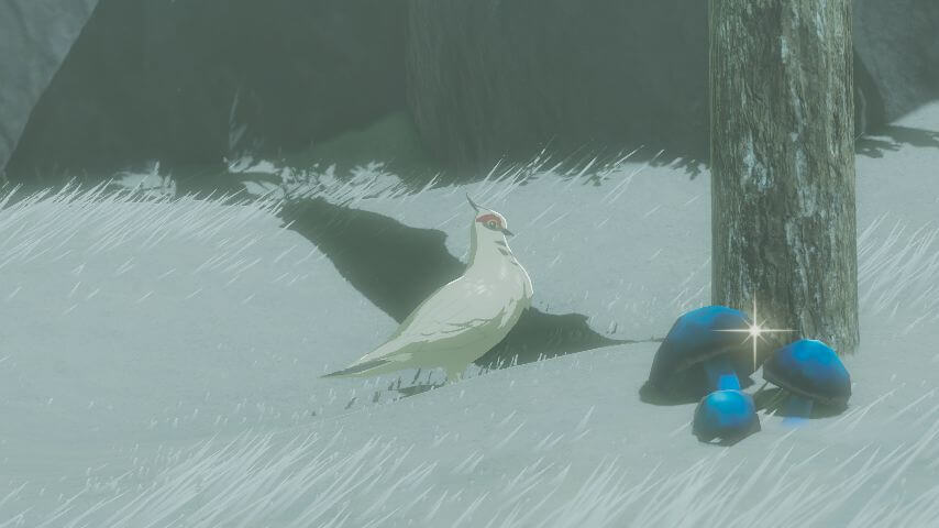 ゼルダの伝説ブレスオブザワイルドにあるラネール山にはマシロバトが棲む