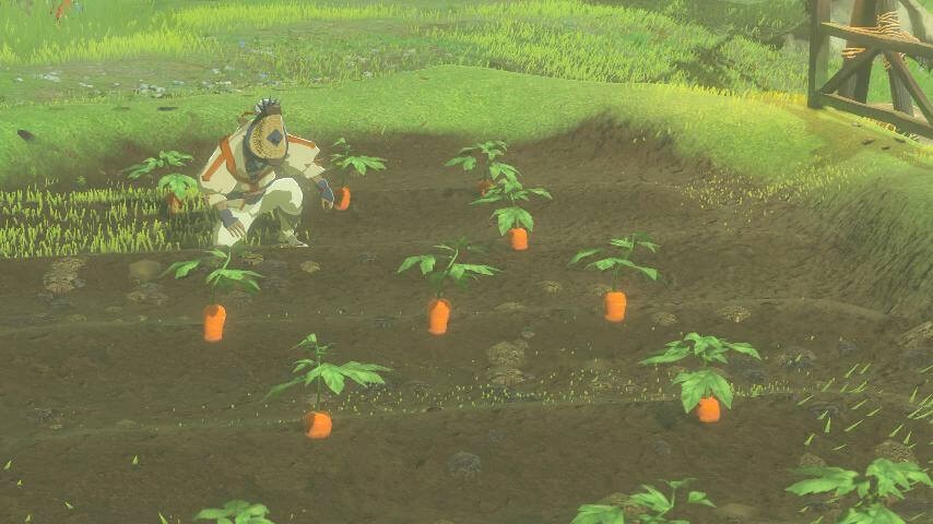 ゴスティンおじいさんのストイックな生活に密着！ライバルはナーキンおじいさん！