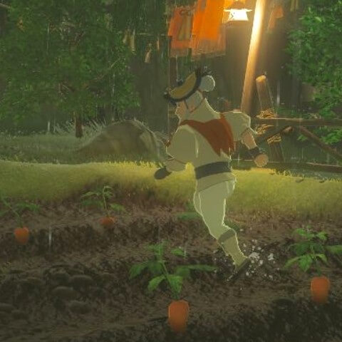 カカリコ村のニンジン畑の上を走り回るナーキン