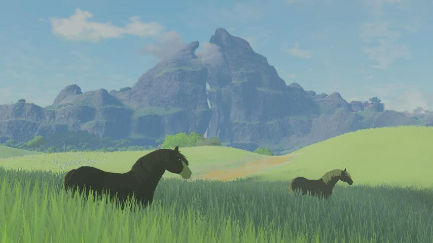 ゼルダの伝説ブレスオブザワイルドにあるハイラル平原を歩く野生馬