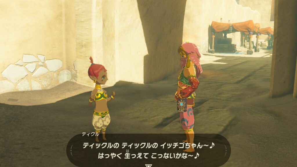 ゼルダの伝説ブレスオブザワイルドにあるゲルドの街にいるティクル