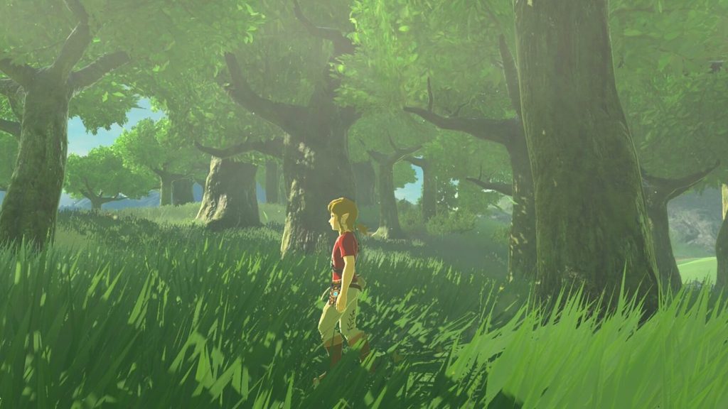 ゼルダの伝説ブレスオブザワイルドにある時の森を歩くリンク。