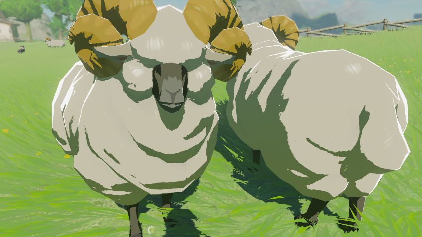 ゼルダの伝説ブレスオブザワイルドにあるハテノ牧場にいるコウゲンヒツジ。